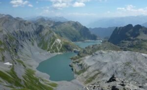 Faune et la flore locale