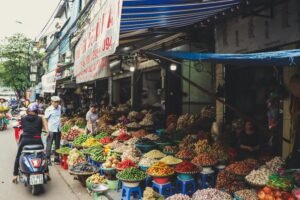 Quand partir au Vietnam ?