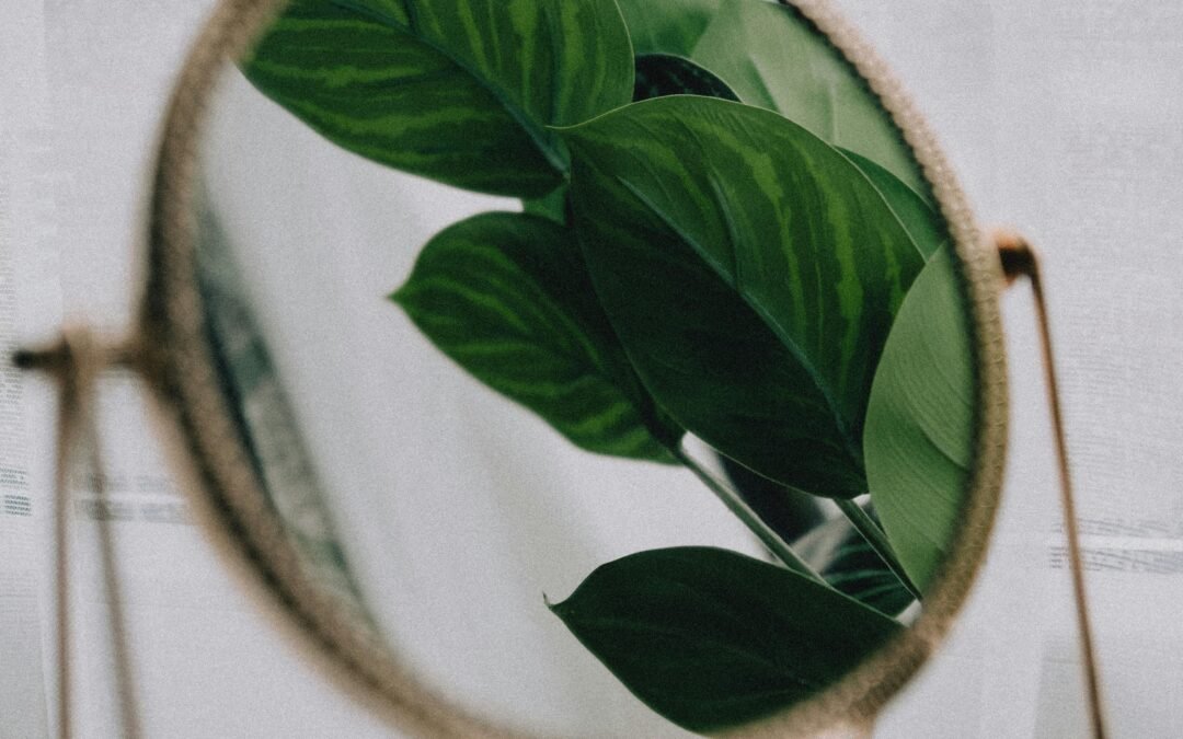 Comment créer des miroirs ronds et des cadres personnalisés