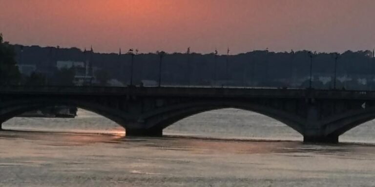 requin adour bayonne