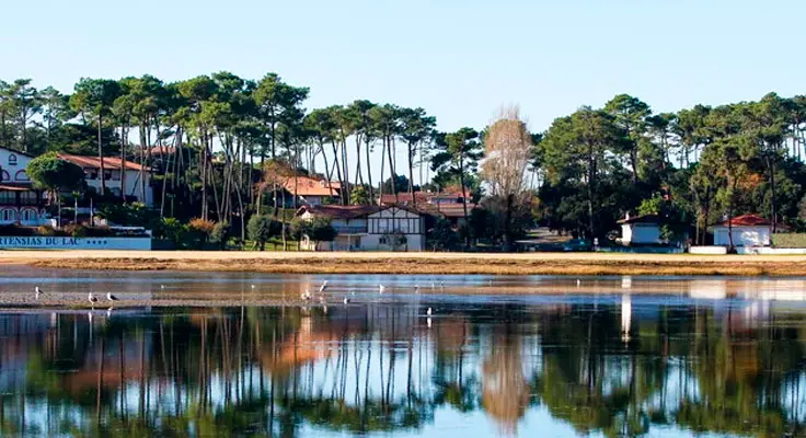 Découvrir la pinède et ses sentiers de randonnée