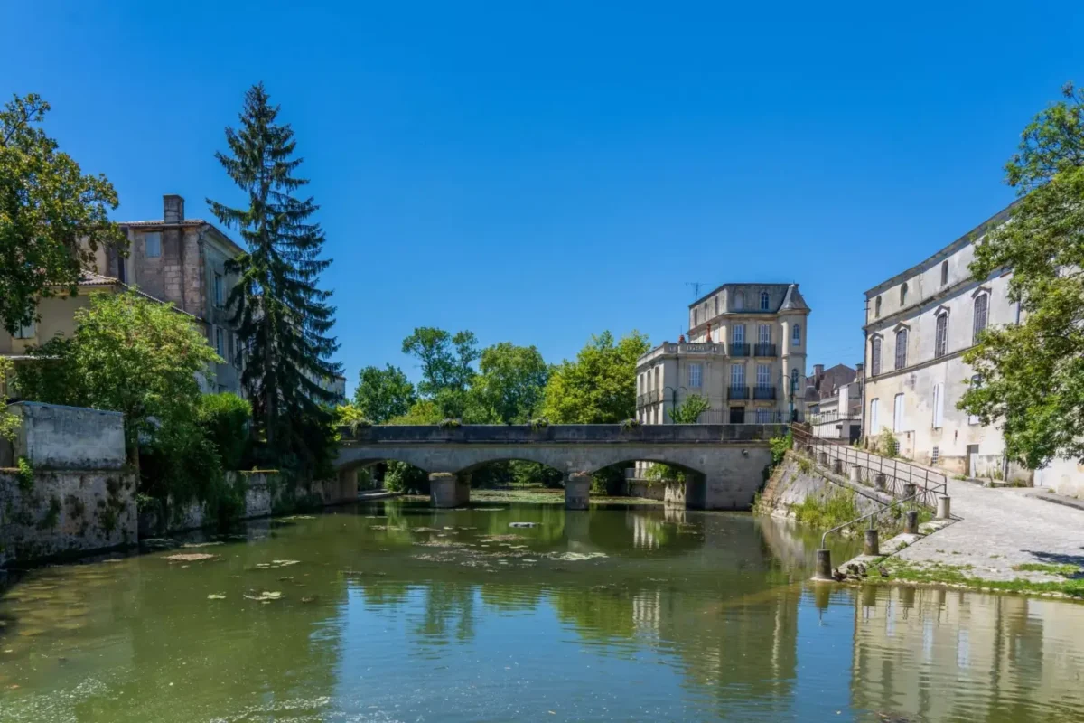 Se promener dans le Parc de la Préfecture 1