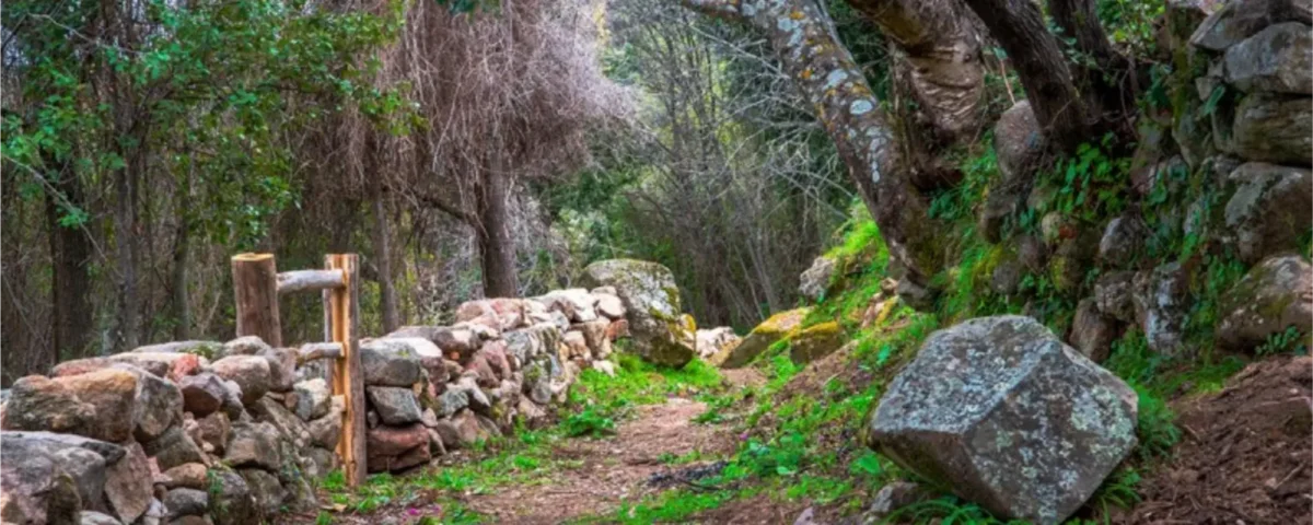 Suivre le sentier du patrimoine